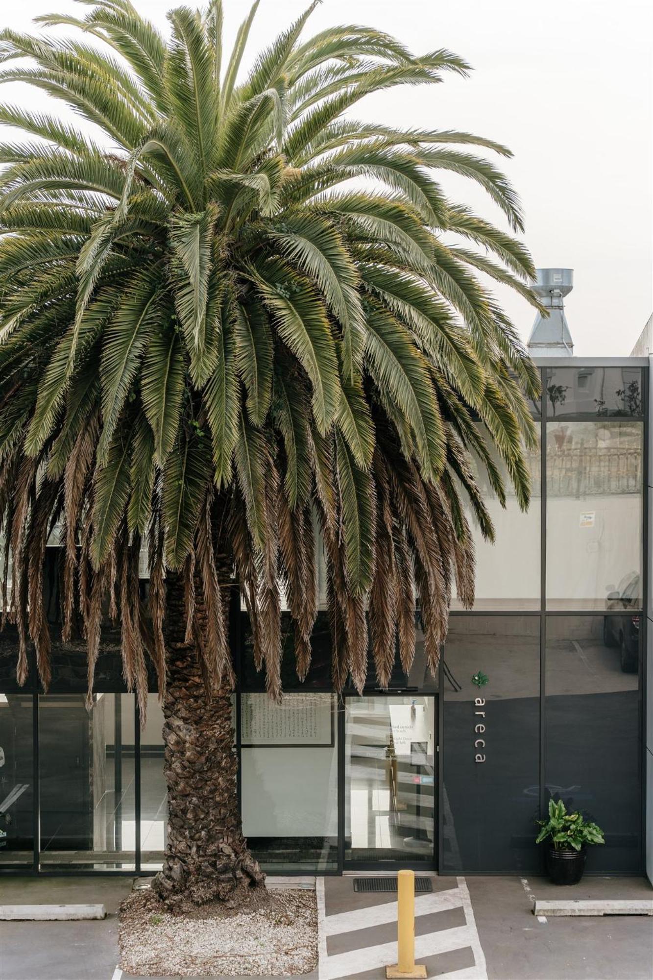 Hotel Areca Launceston Exterior foto